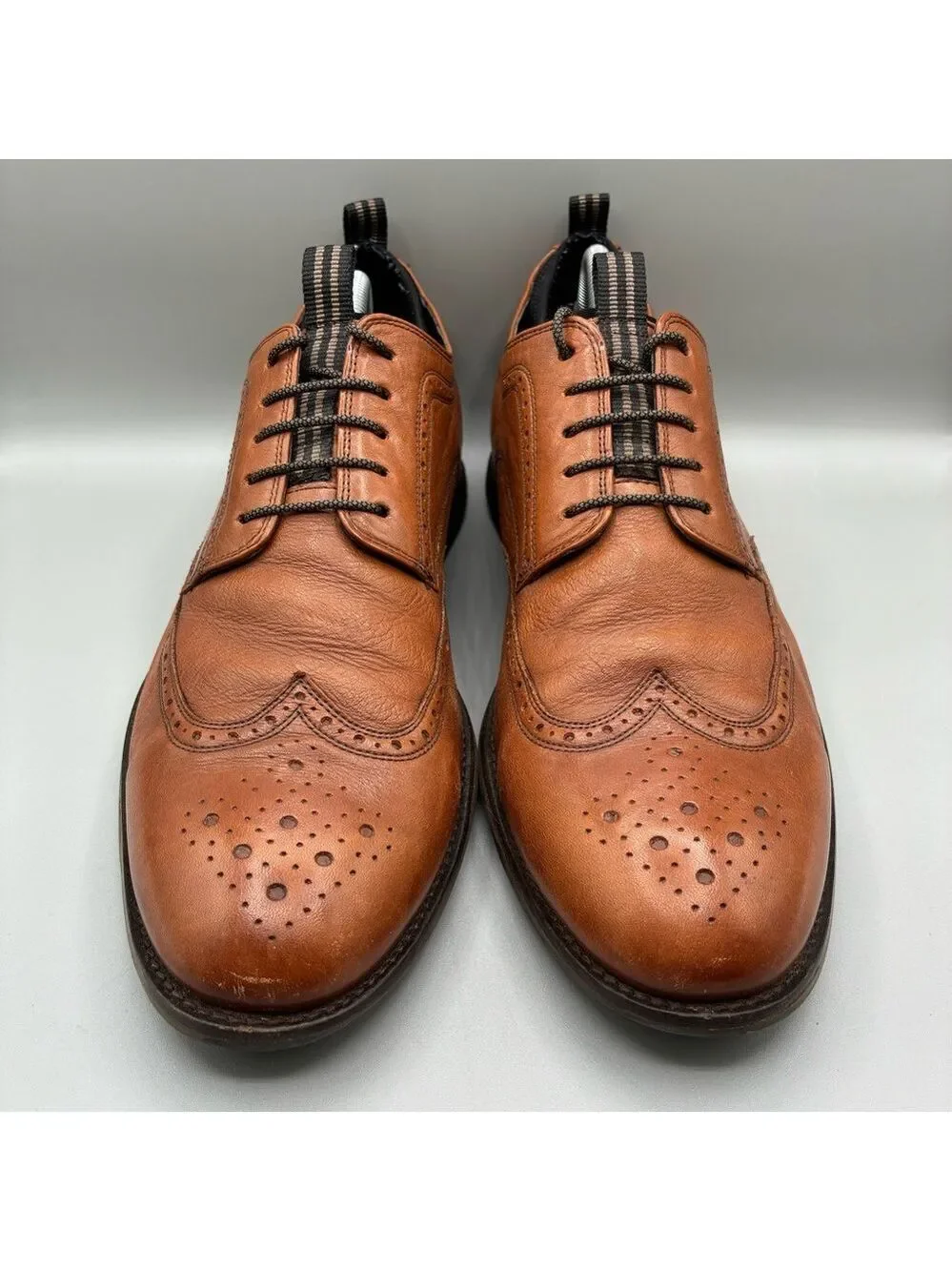 Cole Haan Holland Long Wing Oxford Men’s 10.5 M Brown Leather C31354